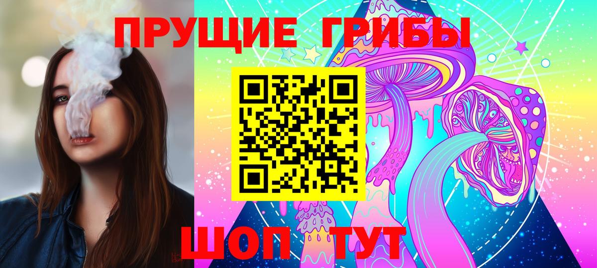 Псилоцибиновые грибы Psilocybe Саров