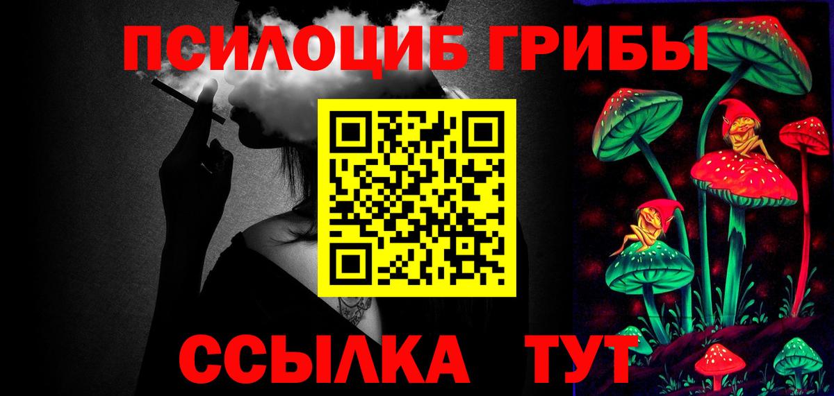 Галлюциногенные грибы Cubensis  Вход с VPN  Саров 